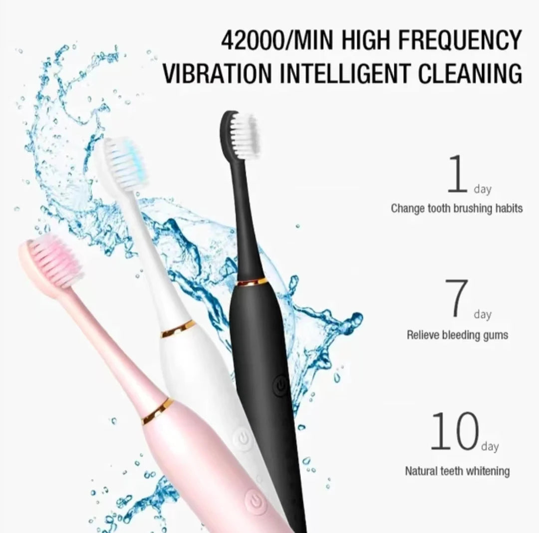 Waterproof  Sonic Electric Toothbrush with 6 Cleaning Modes