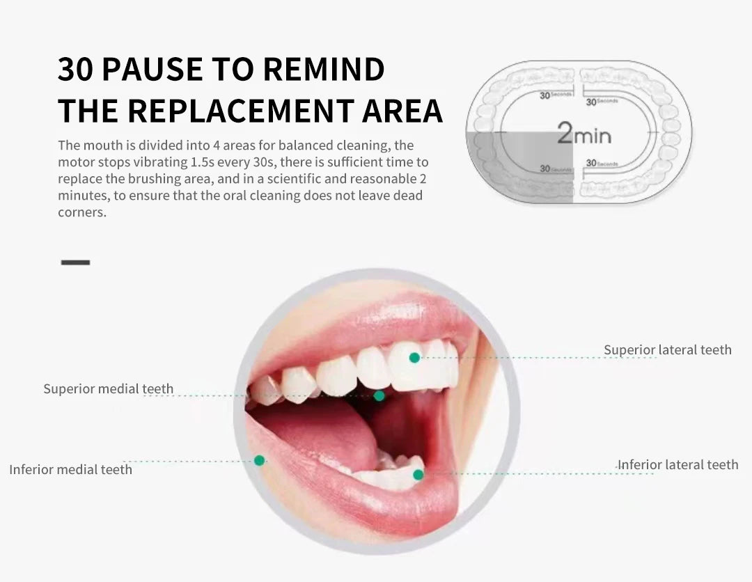 Waterproof  Sonic Electric Toothbrush with 6 Cleaning Modes